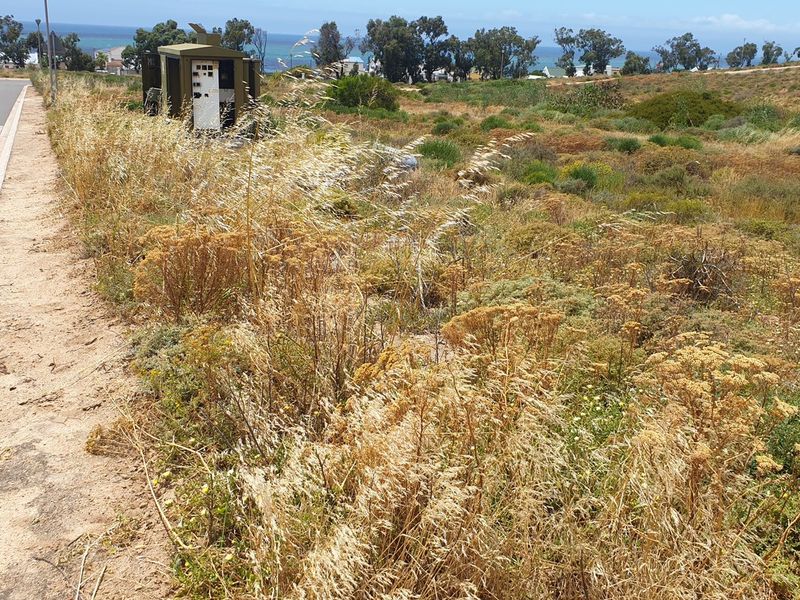 Vacant Land For Sale In St Helena Bay - Photo 10