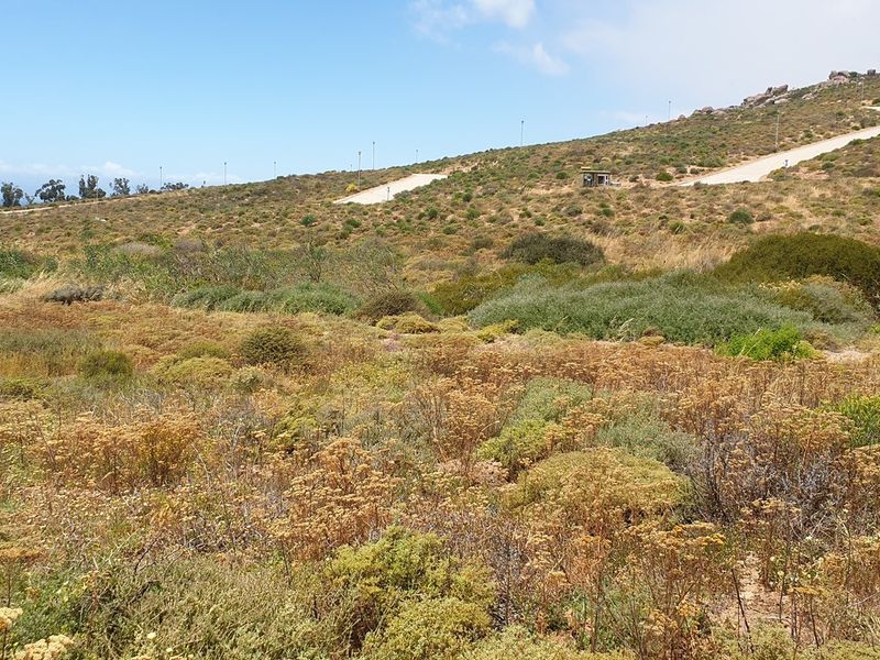 Vacant Land For Sale In St Helena Bay - Photo 9