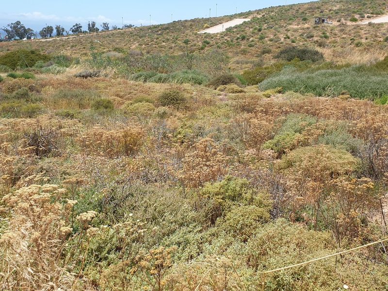 Vacant Land For Sale In St Helena Bay - Photo 8