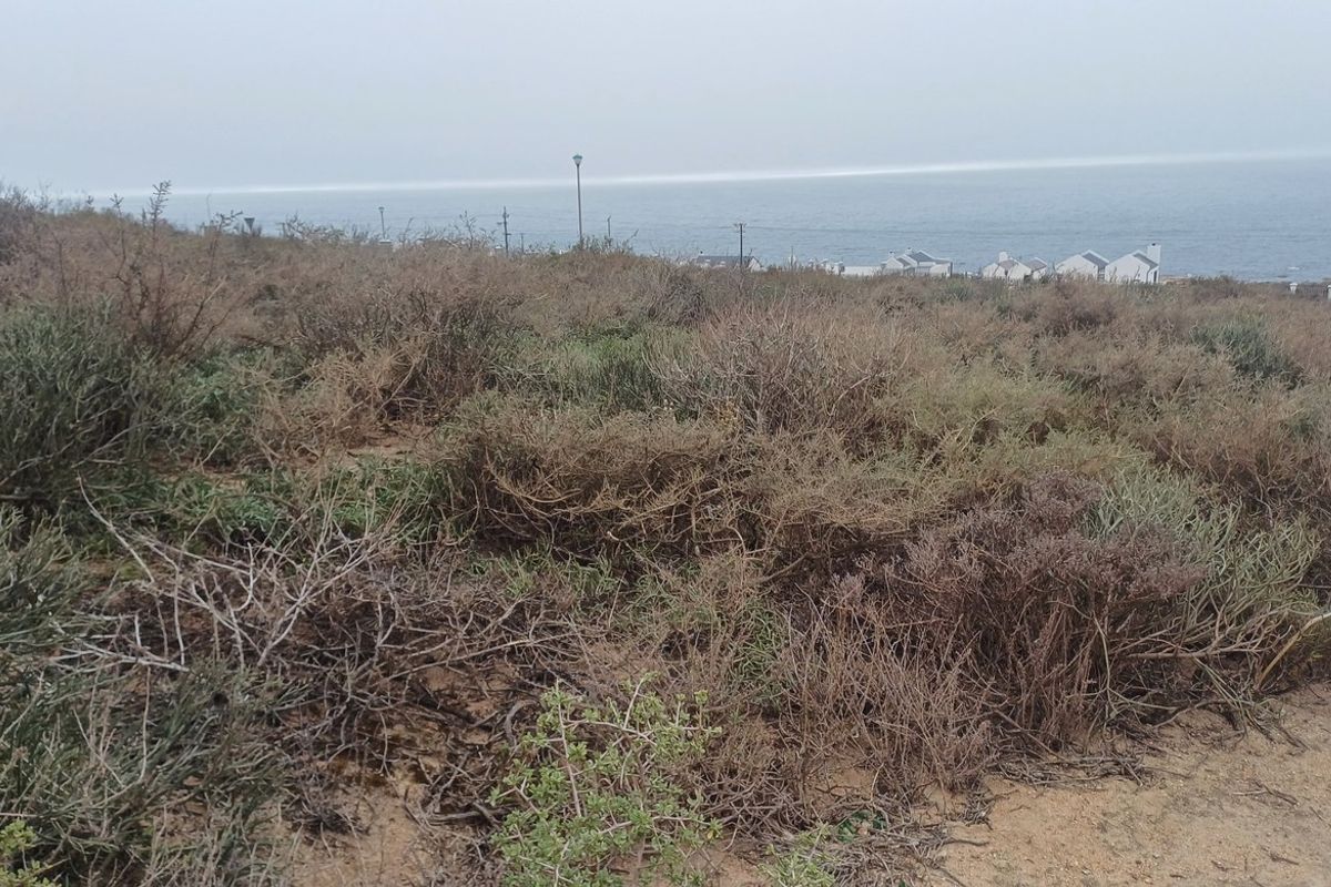 Vacant Land For Sale In St Helena Bay - Photo 5