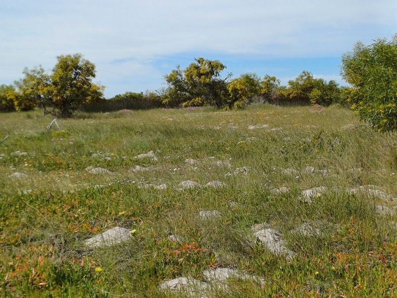 A view of a vacant residential plot featuring natural vegetation, native shrubs, and rocky ground cover, suitable for future development.