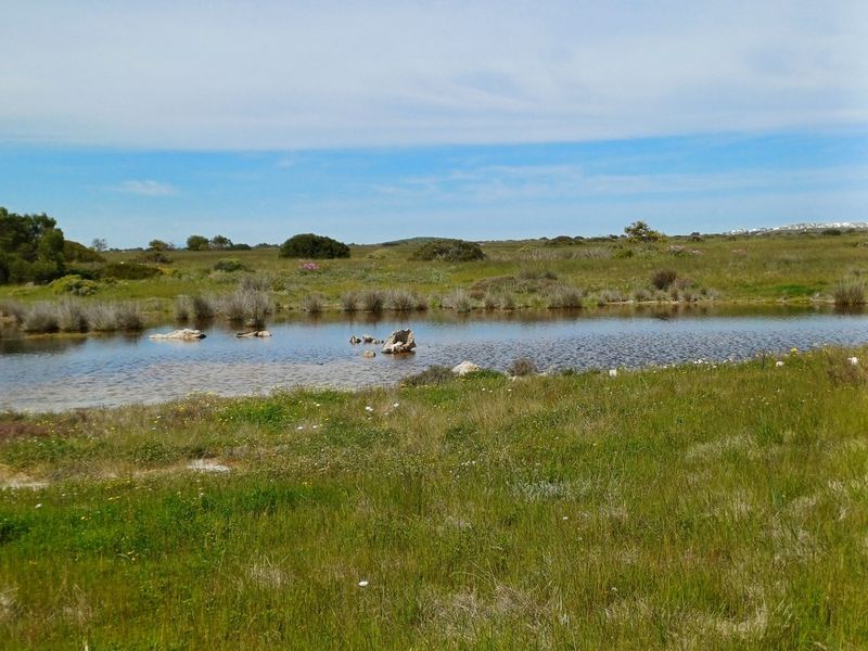A scenic view of the vacant residential land featuring natural vegetation and a small pond, showcasing the property's open landscape and natural terrain.