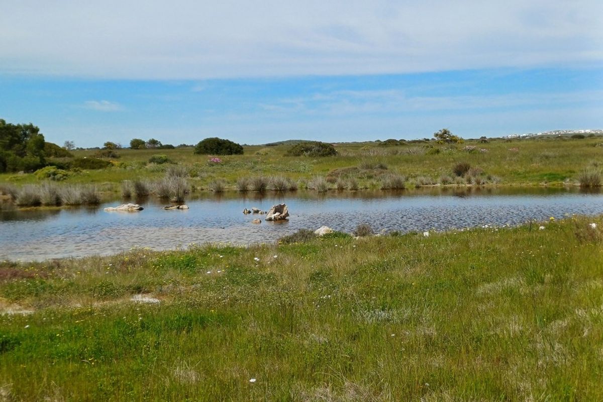 A scenic view of the vacant residential land featuring natural vegetation and a small pond, showcasing the property's open landscape and natural terrain.