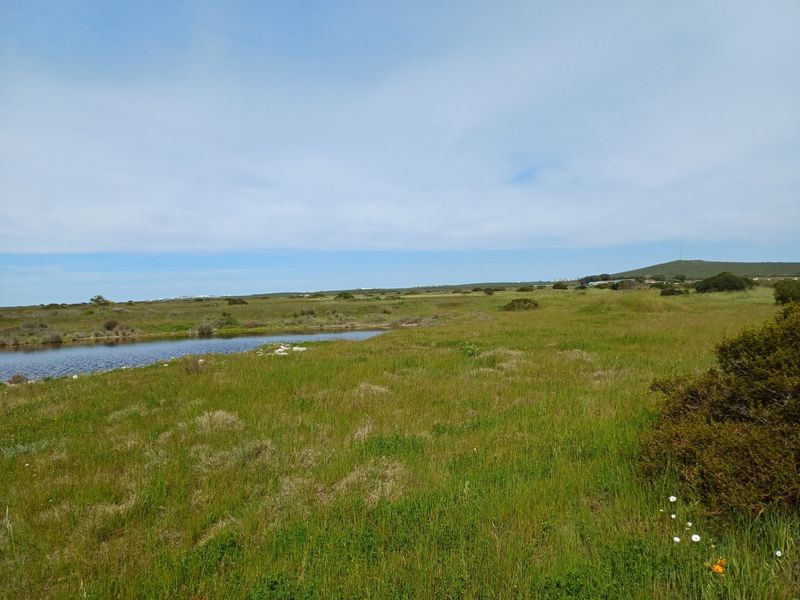 A wide-angle view of a vacant residential plot featuring natural grassland and a small pond, offering a peaceful landscape setting.