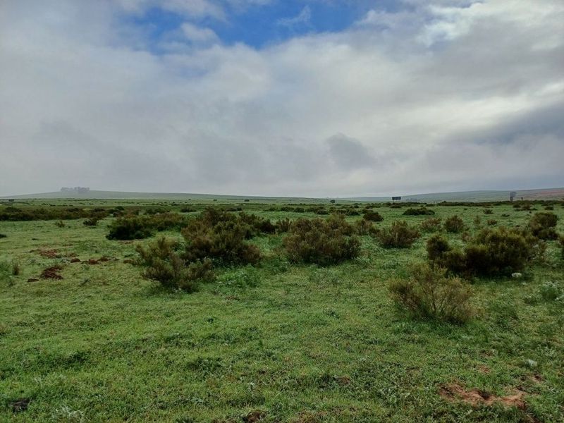 Vacant Land For Sale In Malmesbury - Photo 5