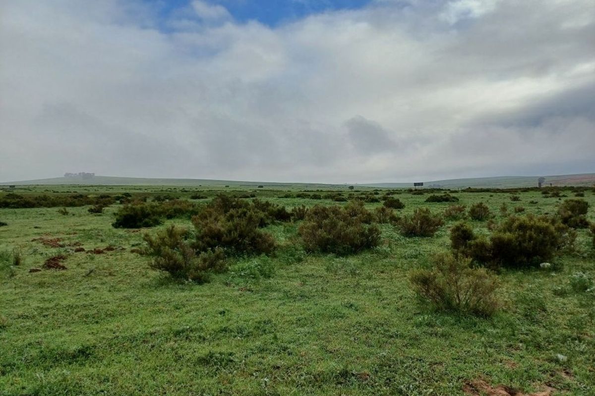 Vacant Land For Sale In Malmesbury - Photo 5