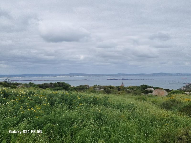 Vacant Land For Sale In Saldanha - Photo 4