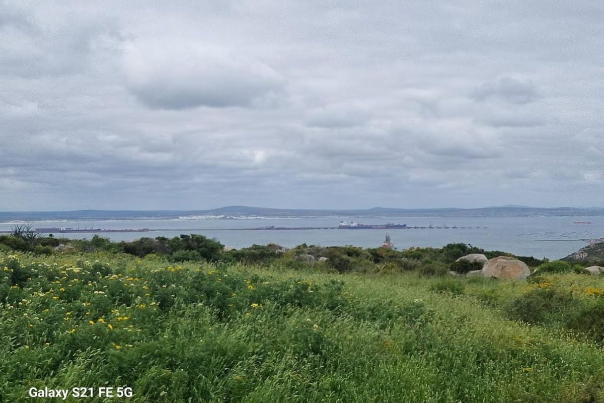 Vacant Land For Sale In Saldanha - Photo 4