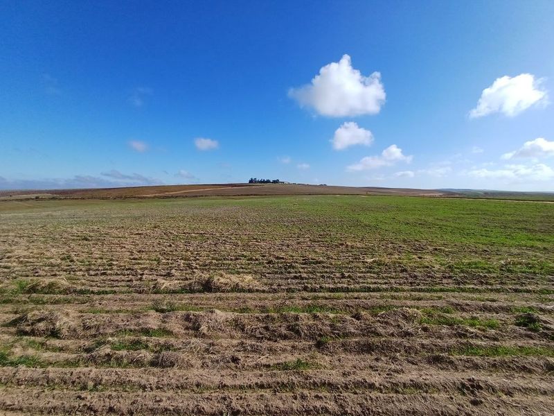 Commercial For Sale In Malmesbury - Photo 6