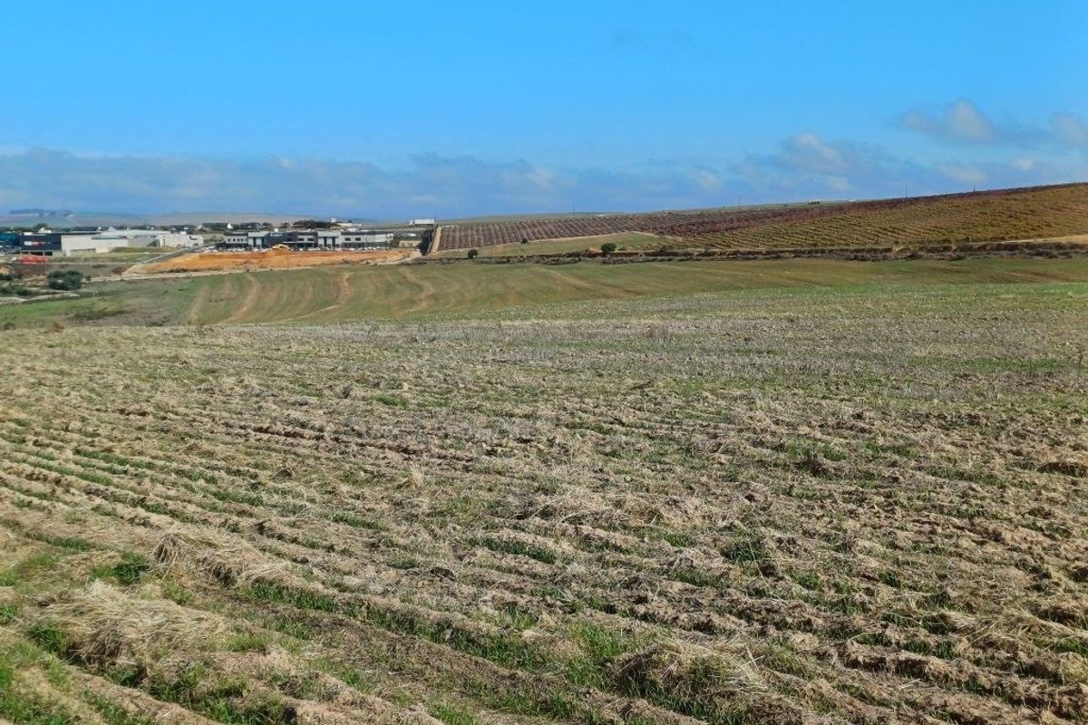Expansive view of open agricultural land and rural landscape with distant commercial development under a clear blue sky.