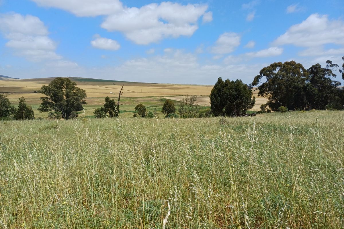 Industrial For Sale In Malmesbury - Photo 2