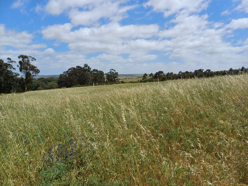 Industrial For Sale In Malmesbury - Photo 3