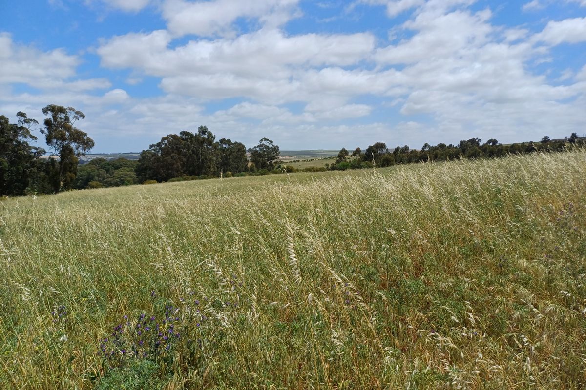 Industrial For Sale In Malmesbury - Photo 3