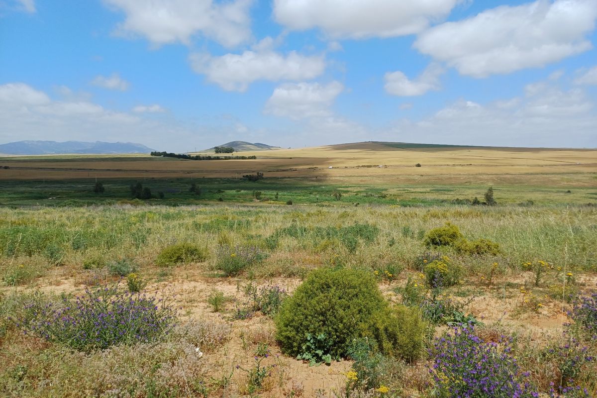Industrial For Sale In Malmesbury - Photo 5