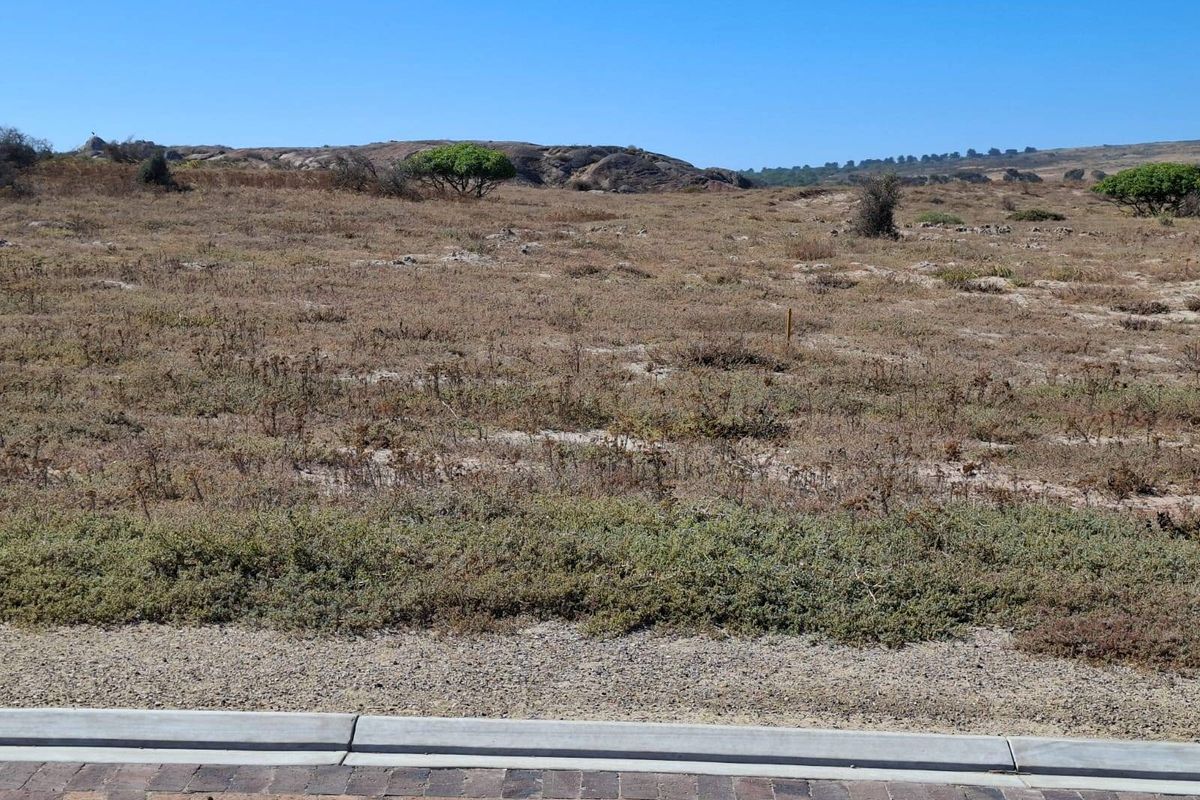 Vacant Land For Sale In Langebaan - Photo 4