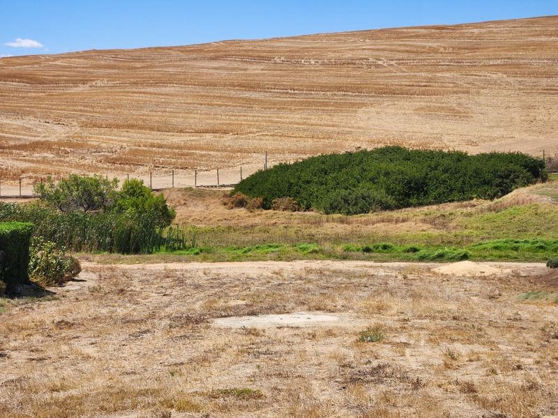 Vacant Land For Sale In Malmesbury - Photo 2