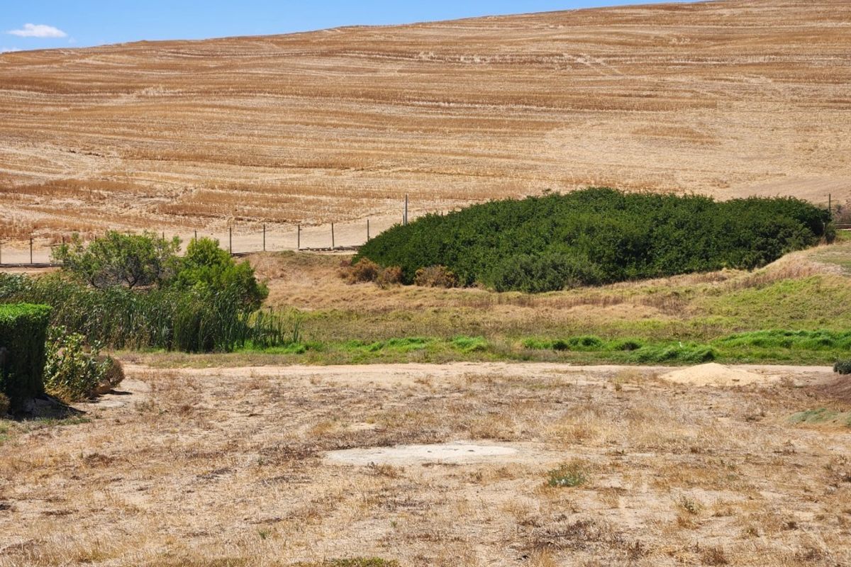 Vacant Land For Sale In Malmesbury - Photo 2