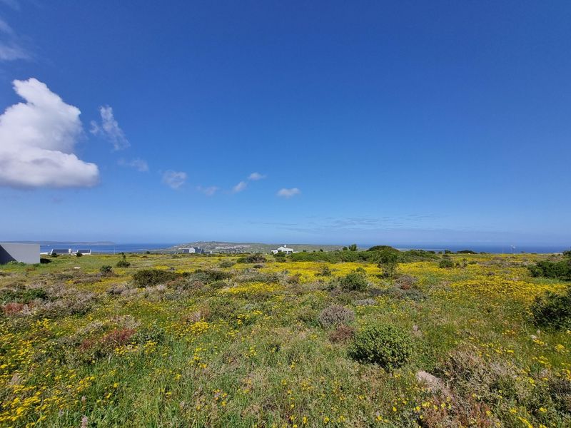 A scenic view of the vacant residential land featuring natural coastal vegetation and distant ocean vistas under a clear blue sky.