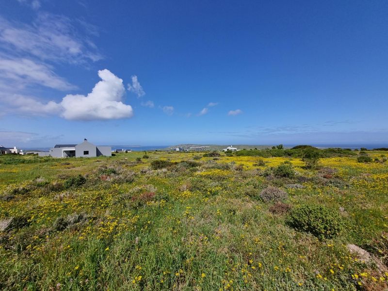 A scenic view of the vacant residential land featuring natural coastal vegetation and distant ocean vistas.