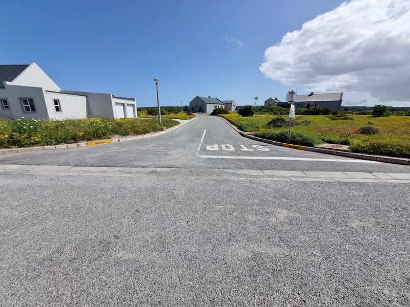 A view of the paved residential street and surrounding neighborhood infrastructure within the estate.