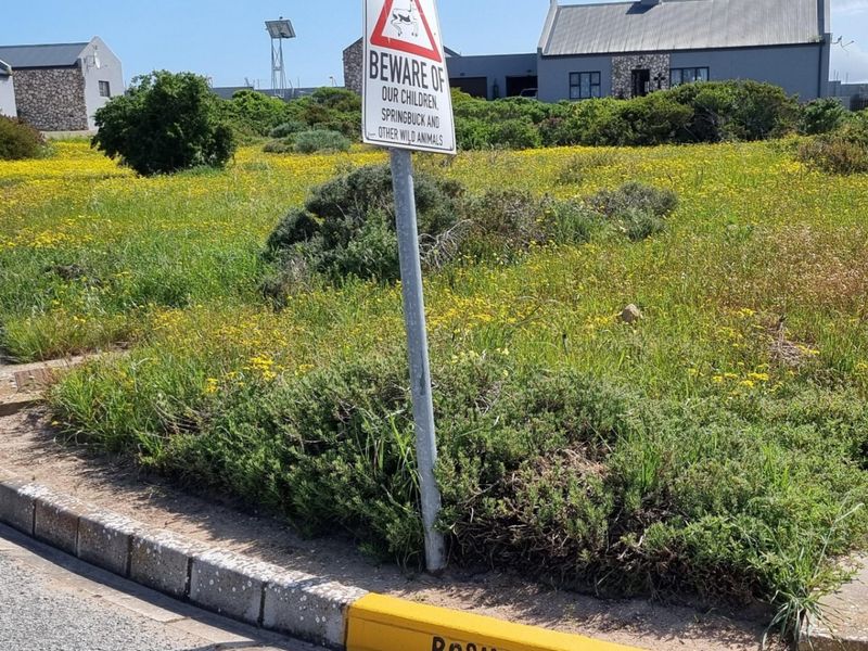 A street-level view of a residential plot featuring a paved curb and roadside signage in a natural, grassy setting.