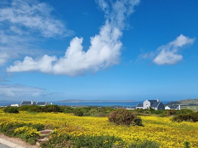 A scenic view of the coastal landscape featuring vibrant yellow wildflowers, natural vegetation, and distant ocean vistas under a clear blue sky.
