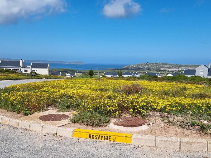 A vacant residential plot featuring natural vegetation, paved curbing, and manhole access, situated in a coastal estate with scenic ocean views.