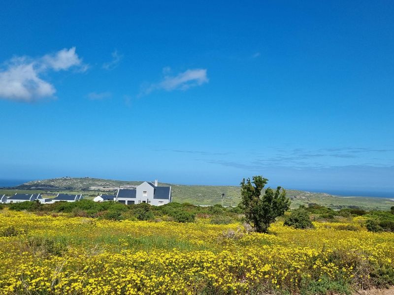 A scenic landscape view of the vacant residential land featuring natural coastal vegetation, rolling hills, and distant ocean views.