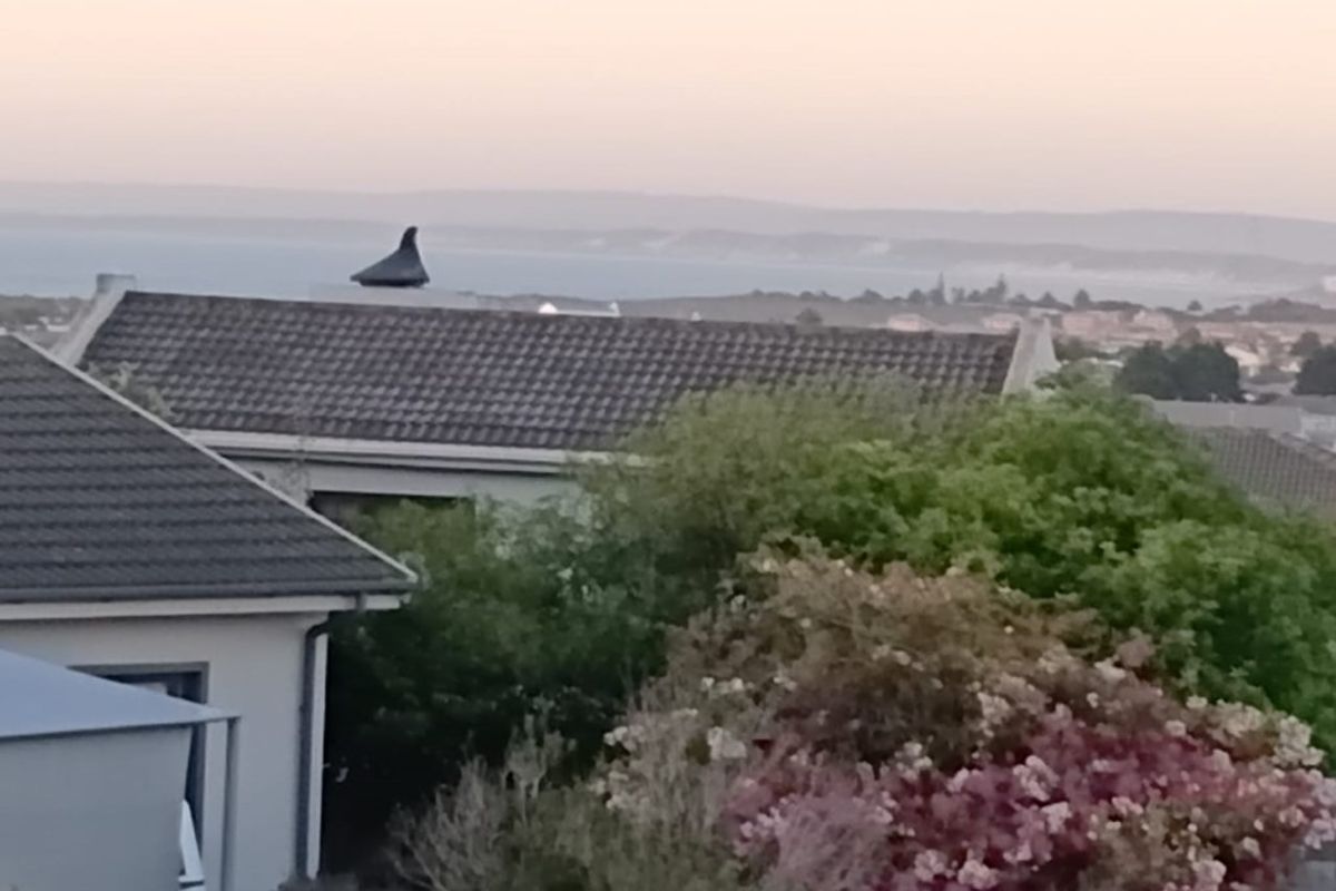 Vacant Land For Sale In Langebaan - Photo 4