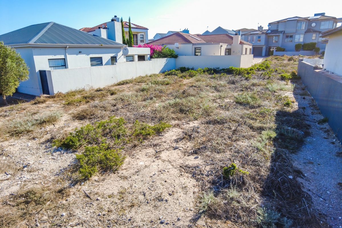 A vacant residential plot featuring natural vegetation, enclosed by boundary walls and situated within an established suburban neighborhood.