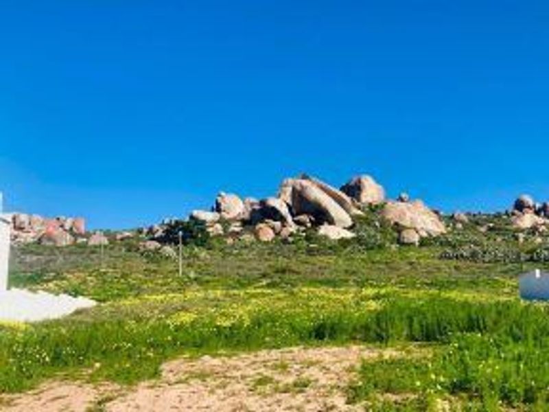 Vacant Land For Sale In St Helena Bay - Photo 9