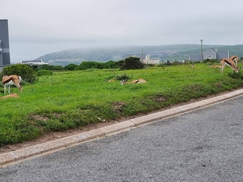 Vacant Land For Sale In Saldanha - Photo 3