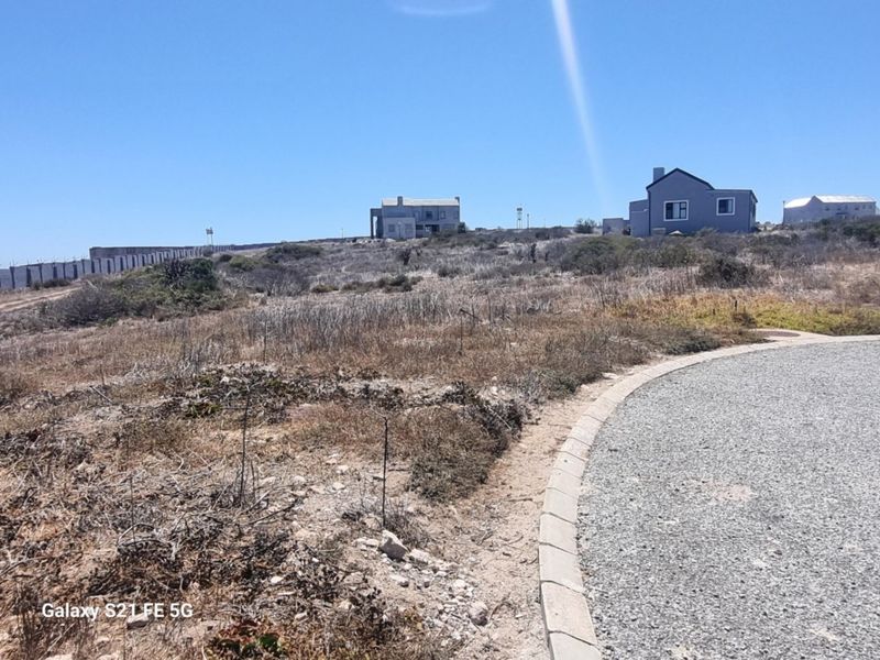 A view of a vacant residential plot featuring natural vegetation, adjacent to a paved road with concrete curbing in a coastal estate setting.