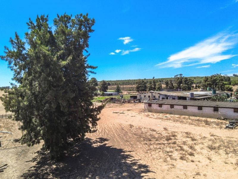 Aerial view of a farm property featuring multiple outbuildings, open land, and established trees under a clear sky.