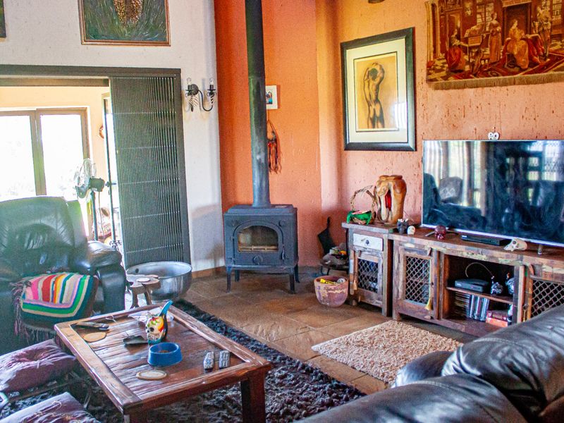 Farm For Sale In Delmas - Photo 5