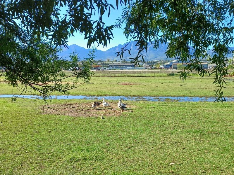 Farm For Sale In Wellington - Photo 9