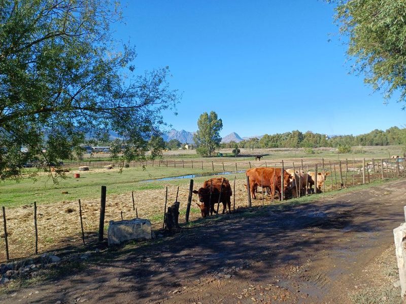 Farm For Sale In Wellington - Photo 5