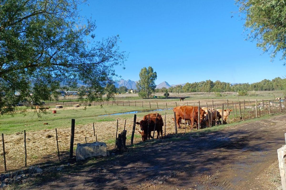 Farm For Sale In Wellington - Photo 5