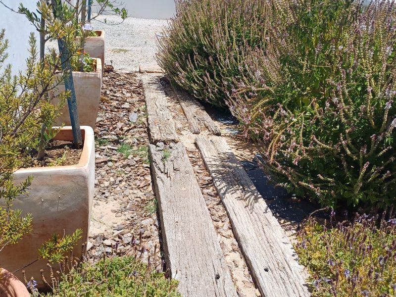 Apartment Rental Monthly In Paternoster - Photo 7