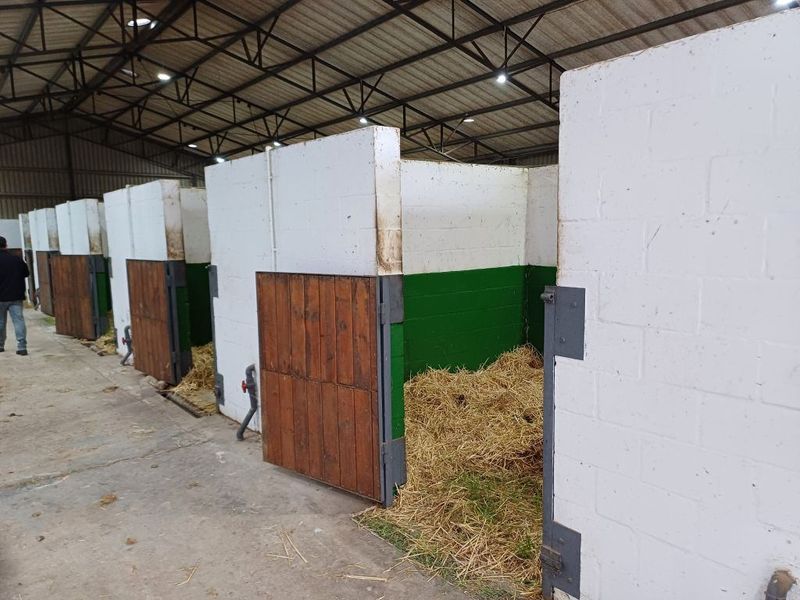 Farm For Sale In Malmesbury - Photo 10