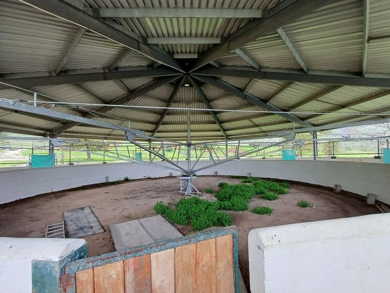 Farm For Sale In Malmesbury - Photo 9