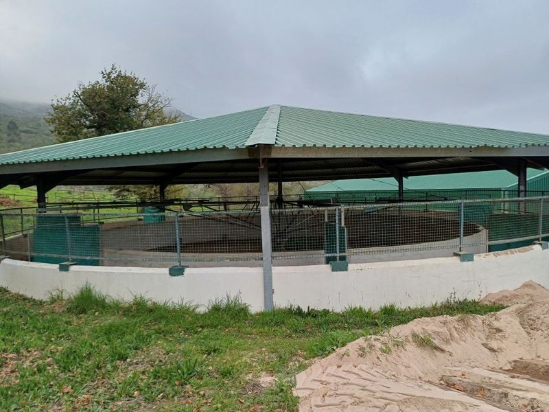 Farm For Sale In Malmesbury - Photo 8