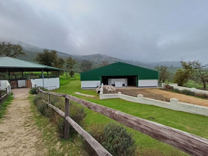 Farm For Sale In Malmesbury - Photo 6