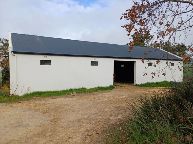 Farm For Sale In Malmesbury - Photo 4