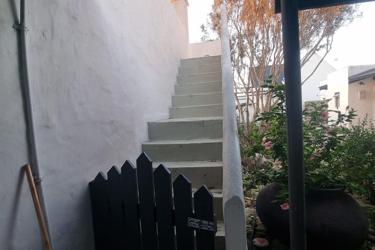 Exterior view of a rear garden area featuring a concrete staircase leading to an upper level, set against a painted masonry wall.