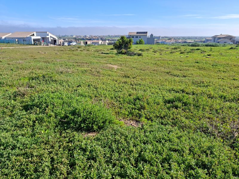 Vacant Land For Sale In Langebaan - Photo 8