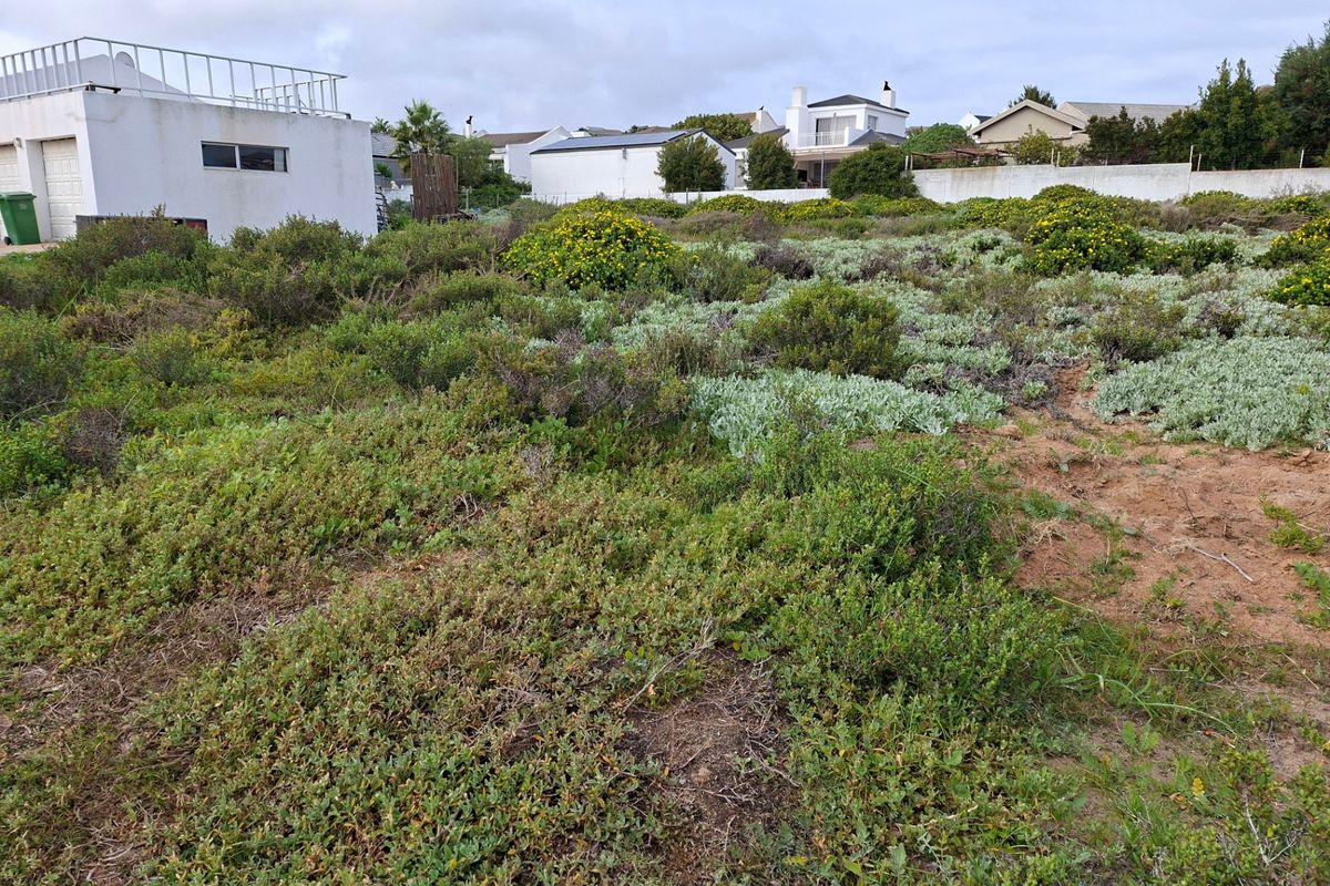 A vacant residential plot covered in indigenous coastal vegetation, situated in a developed neighborhood with neighboring properties visible.