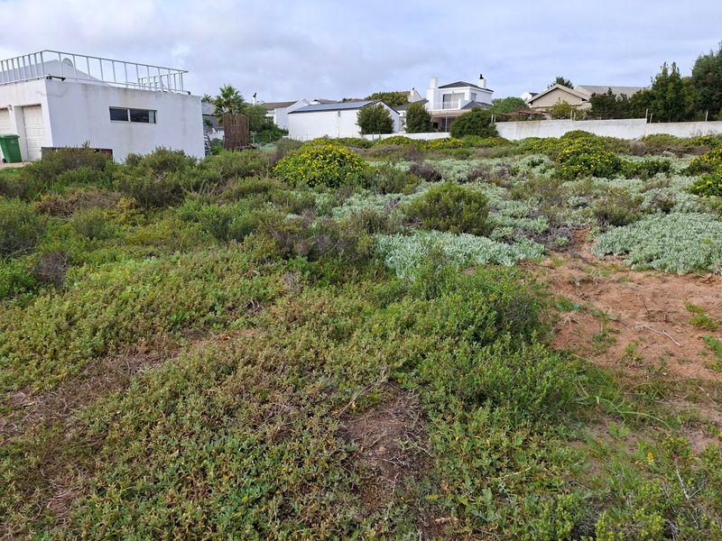 Vacant Land For Sale In Langebaan - Photo 6