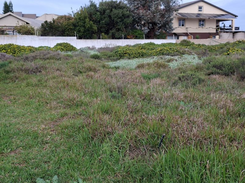 Vacant Land For Sale In Langebaan - Photo 9