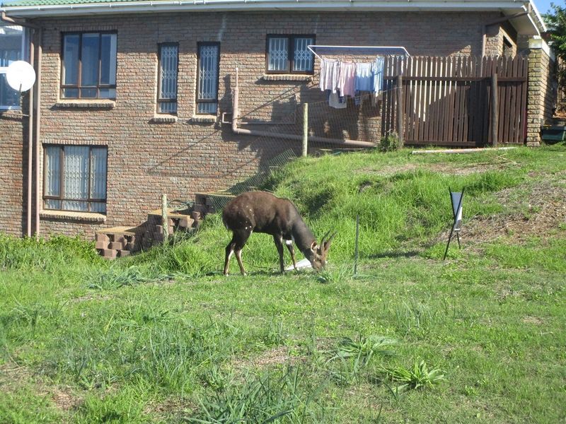 House For Sale In Mossel Bay - Photo 3